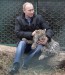 Владимир Путин и переднеазиатский леопард фото